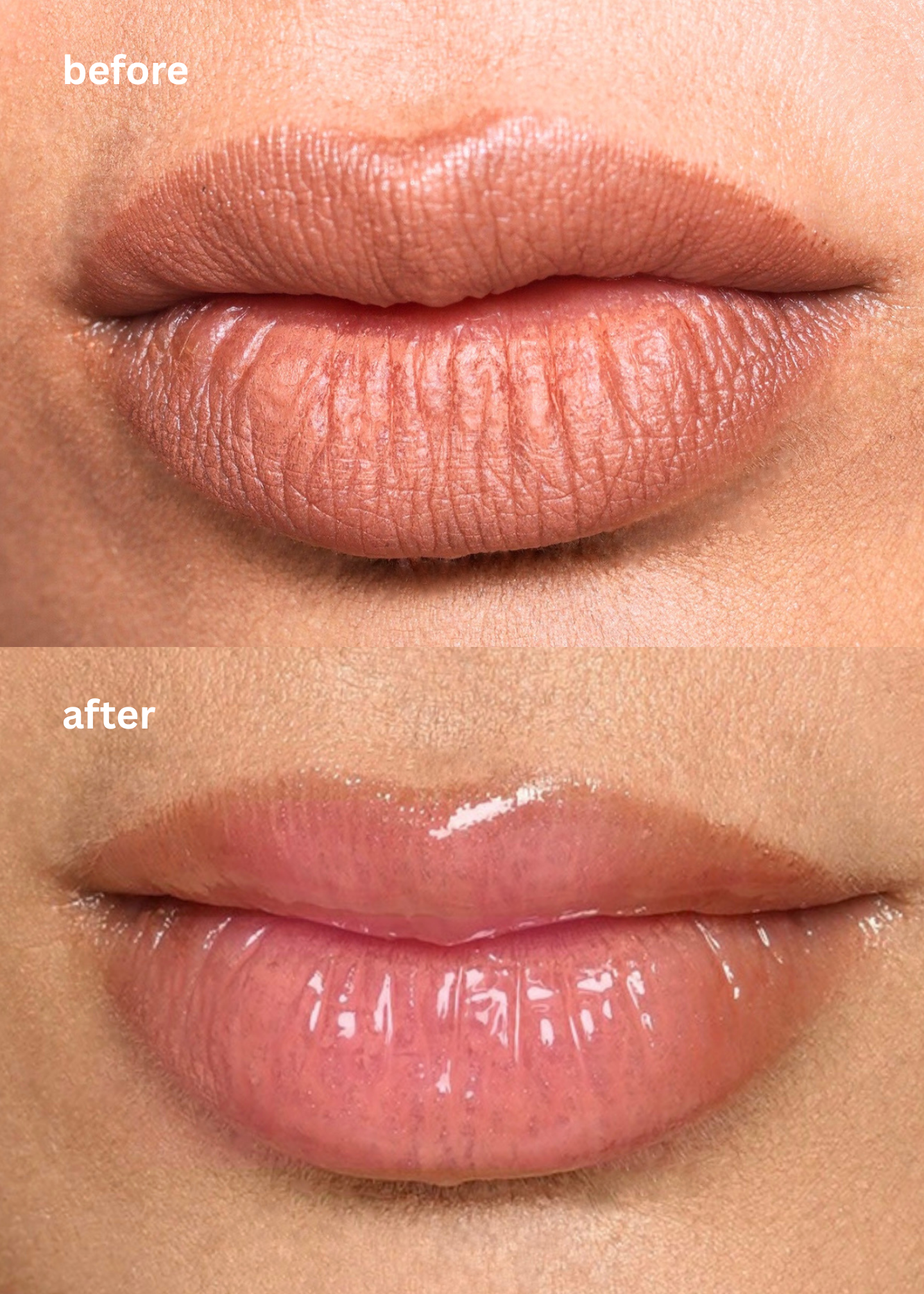 Tinted Gloss Balm (6ml)